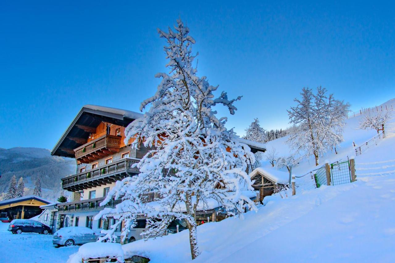 Schrahlehen Bed & Breakfast Wagrain Dış mekan fotoğraf